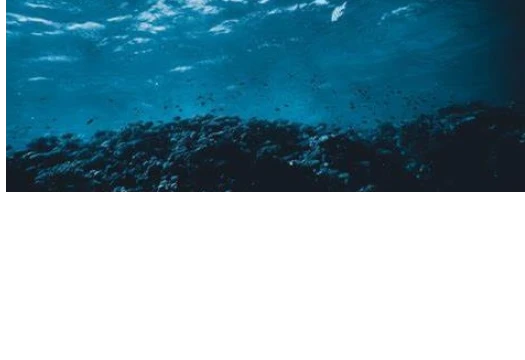 浅海