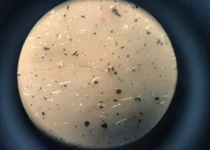 1523951200107798.webp 1523951200107798.webp