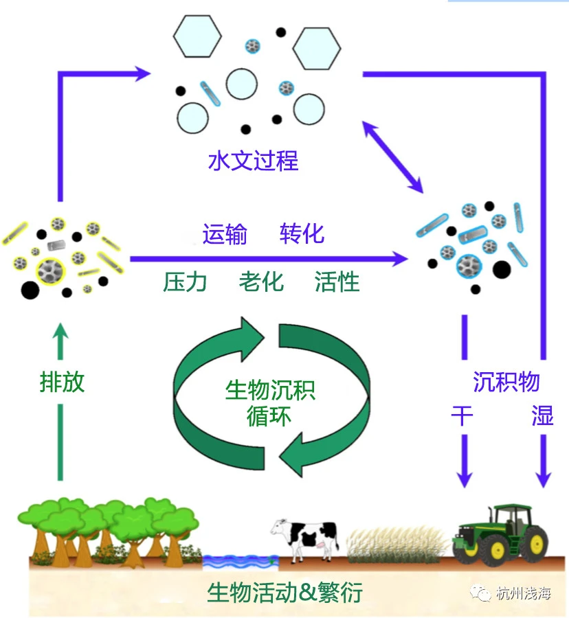 1542938450702450.webp 0.webp