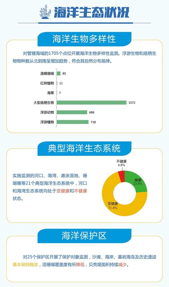 5.webp