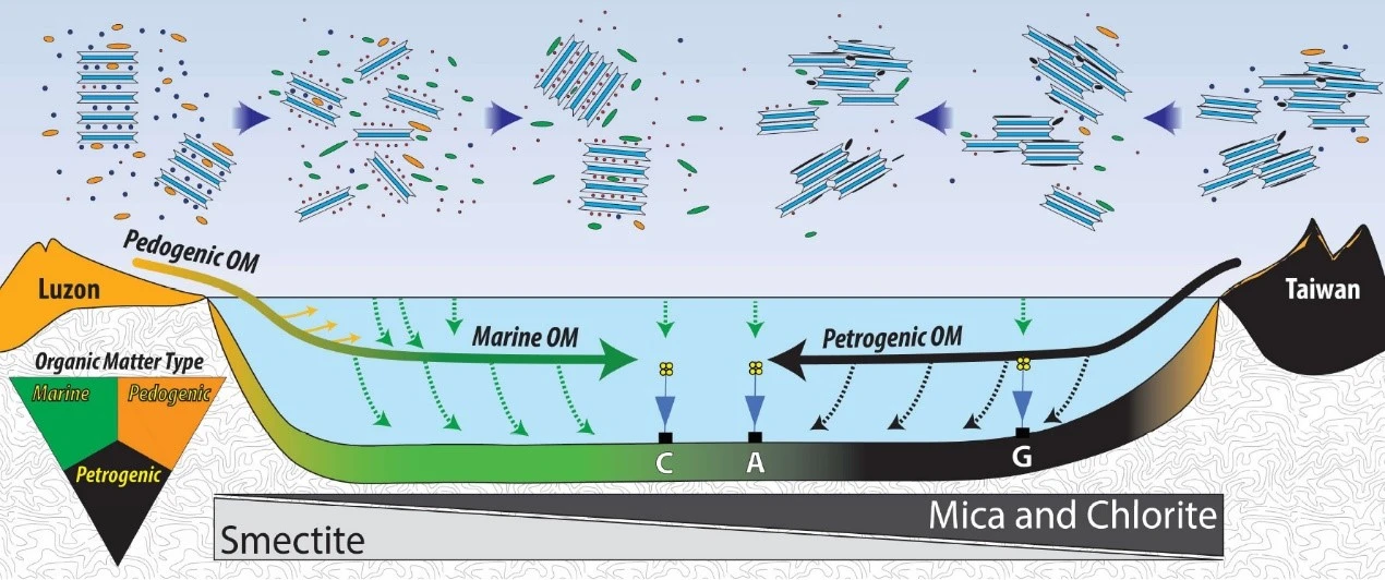 1572914434417752.webp 1572914434417752.webp