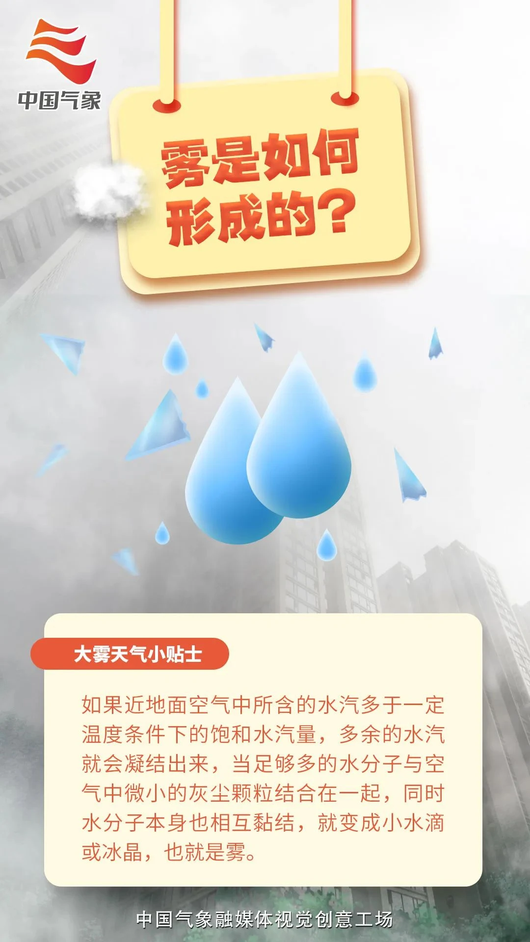 6.webp
